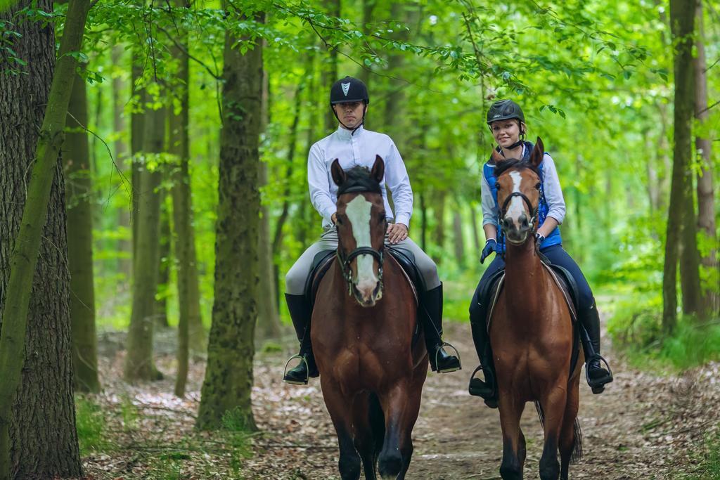 Hubertus Aparthotel & Restaurant & Horse Club Starogard Gdański Habitación foto